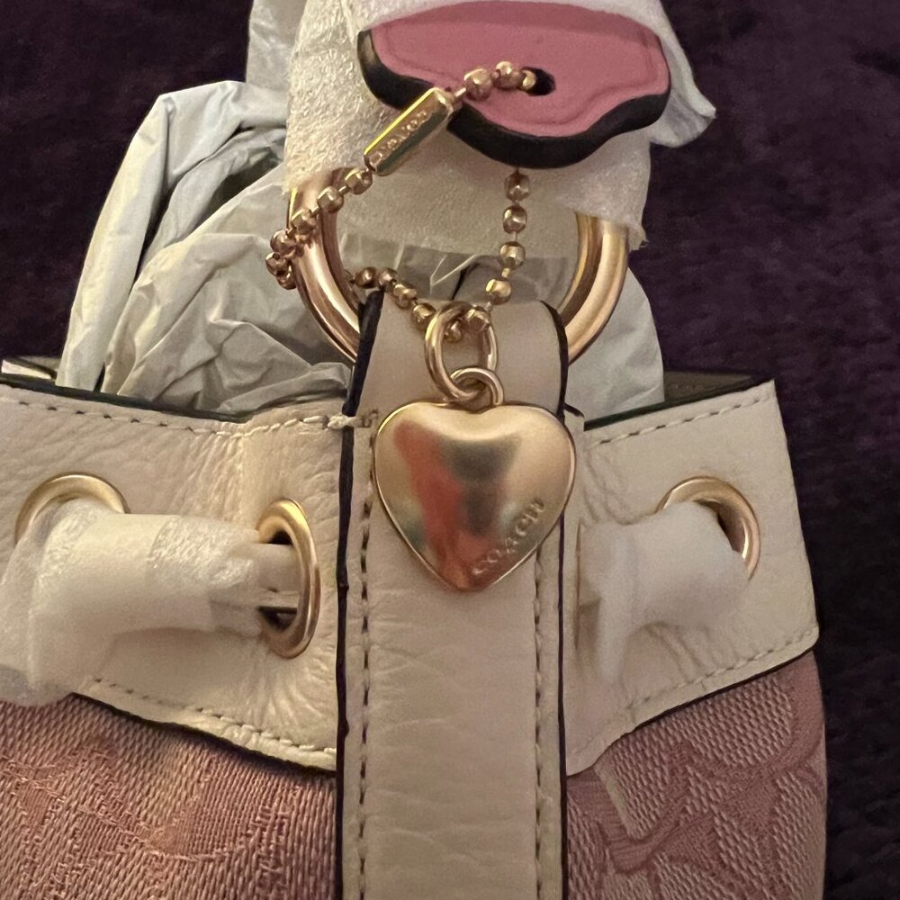NWT---RARE Coach Dempsey 19 (C7964) Bucket Bag, Wristlet w/Charms & Wallet - Picture 3 of 13